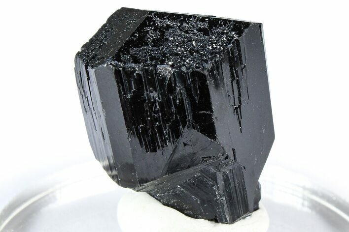 Lustrous Black Tourmaline (Schorl) Crystal - Namibia #361659